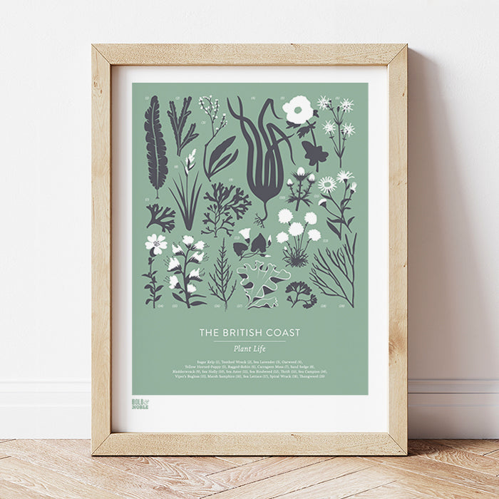 'British Coast: Plants' Print in Seafoam Green