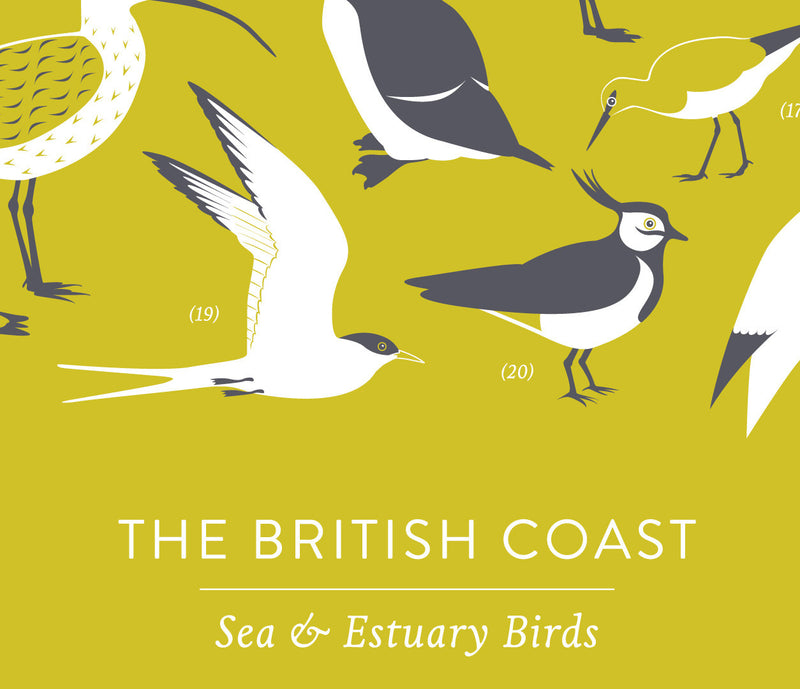 Close up of British Coastal Birds Screen Print in yellow moss