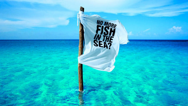 How we can save our Oceans
