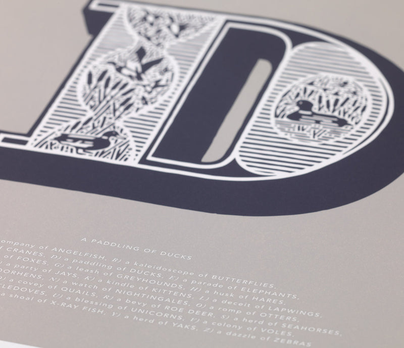 Close up of Illustrated Letter D in putty grey