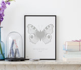 Butterflies Art Print in Putty Grey, Modern Print Designs for the Home