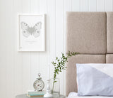 Lovely Pictures for the Home