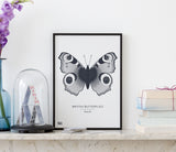 Butterflies Art Print in Slate Dark Grey, Modern Print Designs for the Home