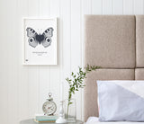 Lovely Pictures for the Home