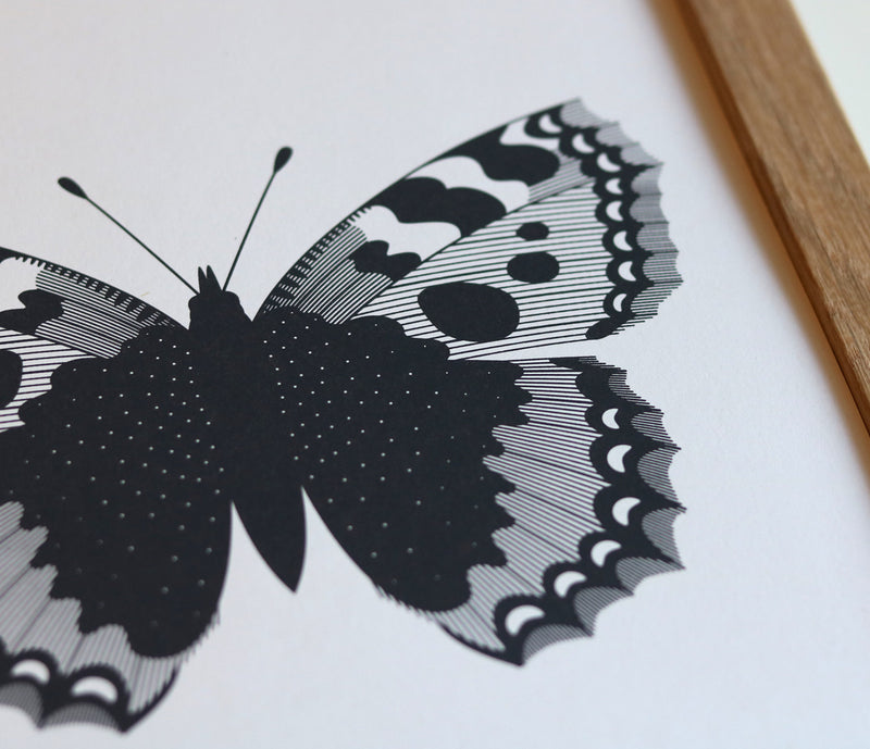 Close up of illustrated British Butterflies in Dark Slate Grey