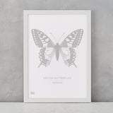British Butterflies Art Print, Screen Printed in the UK, deliver worldwide
