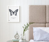 Lovely Pictures for the Home