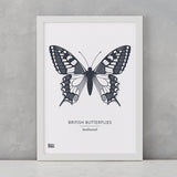 British Butterflies Art Print, Screen Printed in the UK, deliver worldwide