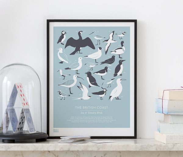 Pictures and wall art, screen printed British Birds poster in duck egg blue