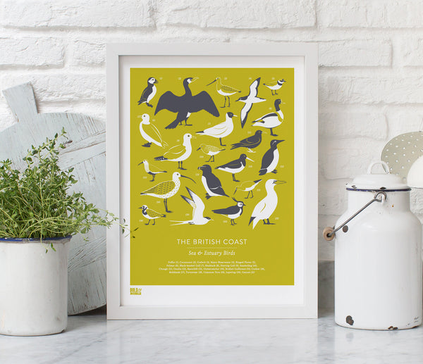 Pictures and wall art, screen printed British Coastal Birds poster in grey and yellow