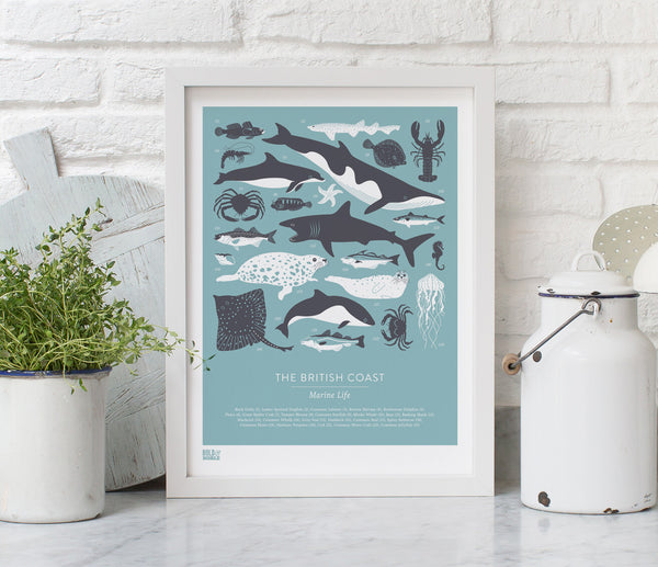 Pictures and wall art, screen printed British Coastal Marine animals poster in grey and blue