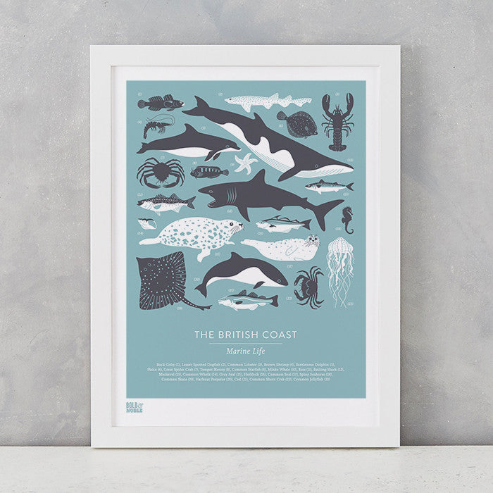 British Coast Marine Animals screen print in coastal blue, recycled card, delivered worldwide