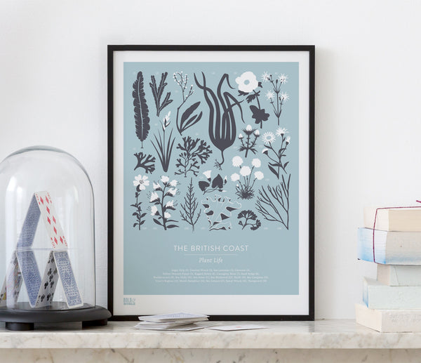 Wall art ideas, economical screen prints, British Coastal Plant Life print in duck egg blue
