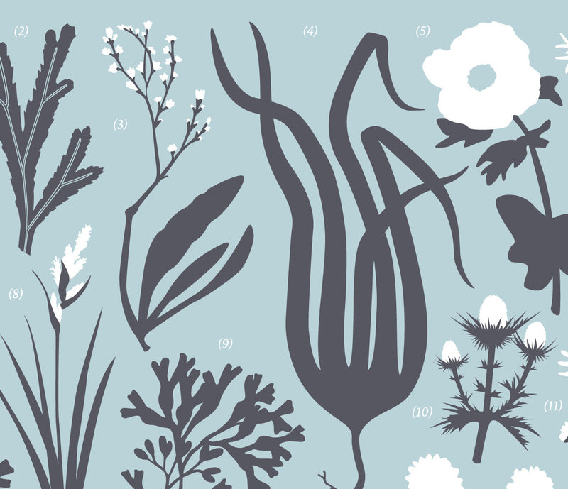 Close up of British Coastal Plant Life Screen Print in duck egg blue