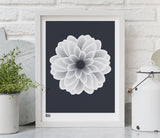 Pictures and wall art, screen printed Dahlia Peony poster in sheer slate