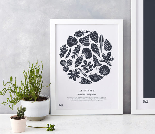 Wall Art Ideas: Economical Screen Prints, Leaf Types printed in slate grey