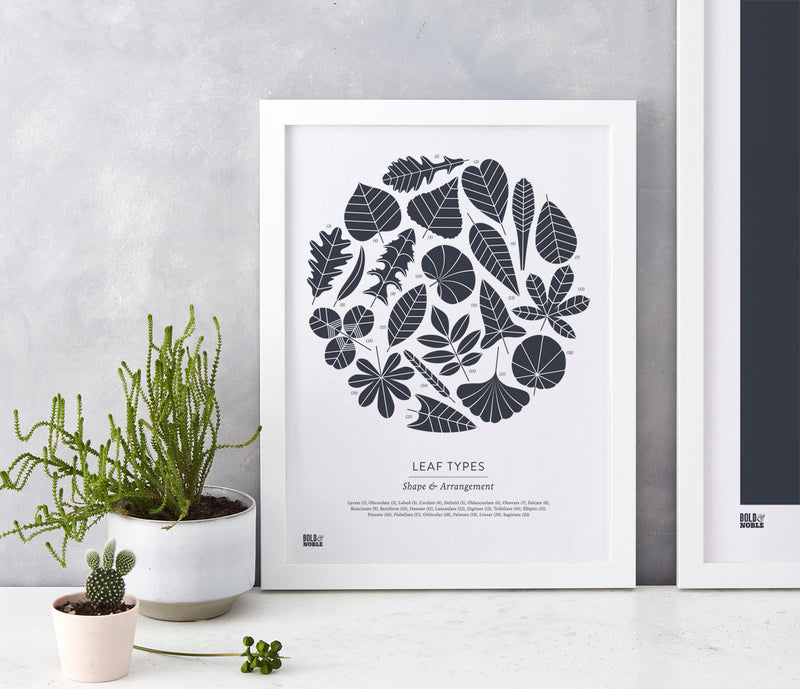 Wall Art Ideas: Economical Screen Prints, Leaf Types printed in slate grey