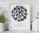Pictures and Wall Art, Screen Printed Leaf Types design in sheer slate