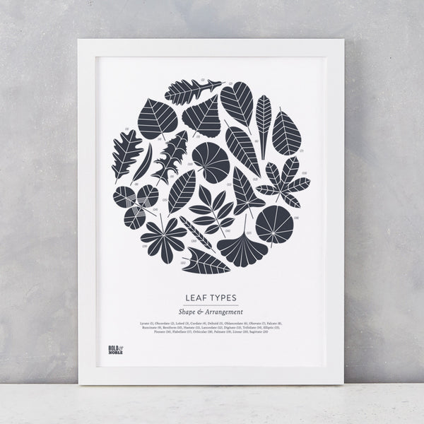 Leaf Types screen print in Sheer Slate, screen printed on recycled card, delivered worldwide