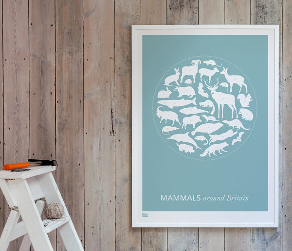 Wall Art ideas: Economical Screen Prints, Mammals Around Britain Print in Coastal Blue