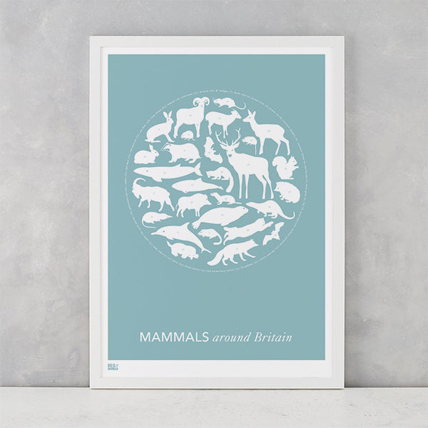 Mammals Around Britain Print in Coastal Blue, screen printed on recycled paper, deliver worldwide